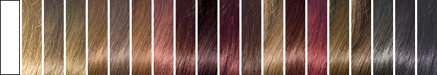 Clairol Professional Beautiful Collection 20 Stunning Shades